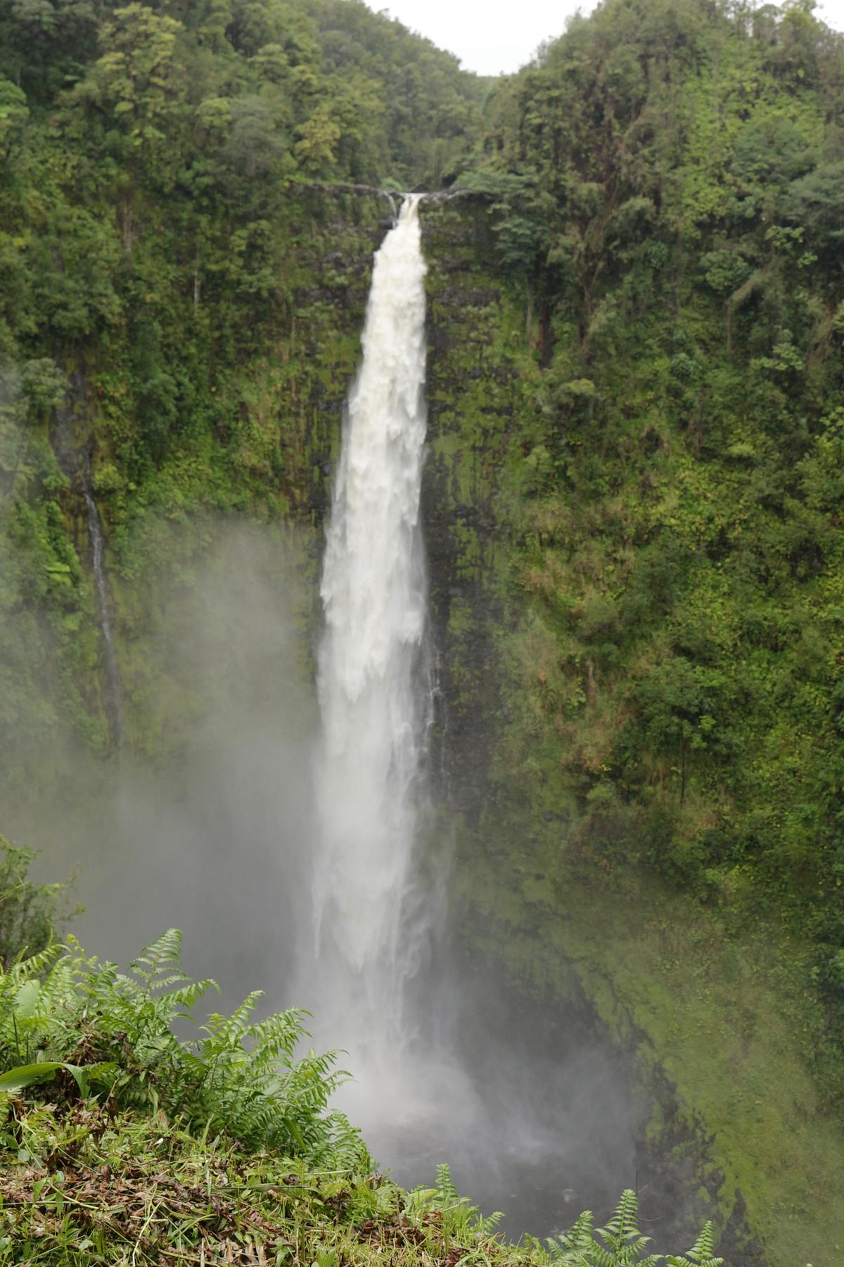 ʻAkaka Falls dropping into a gorge lined with tropical rainforest north of Hilo