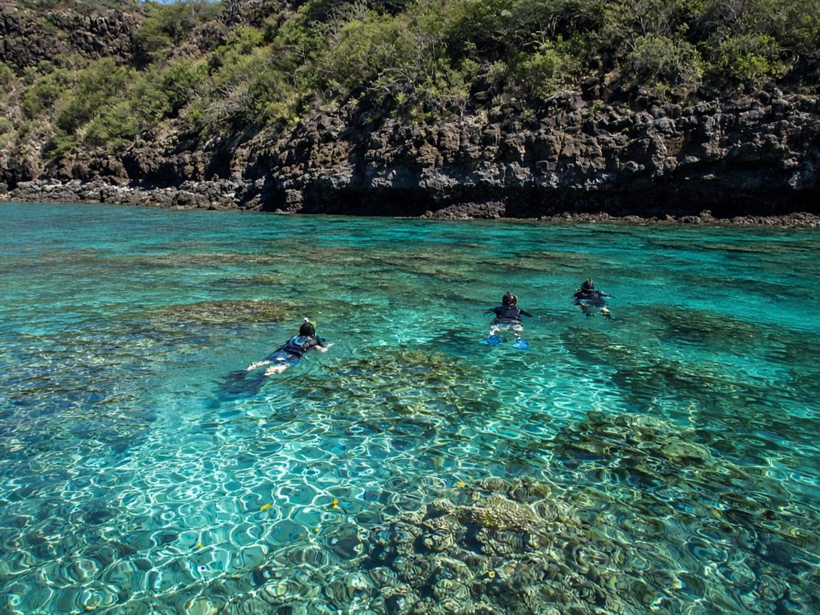 Snorkelers over coral in the clear water of Kealakekua Bay