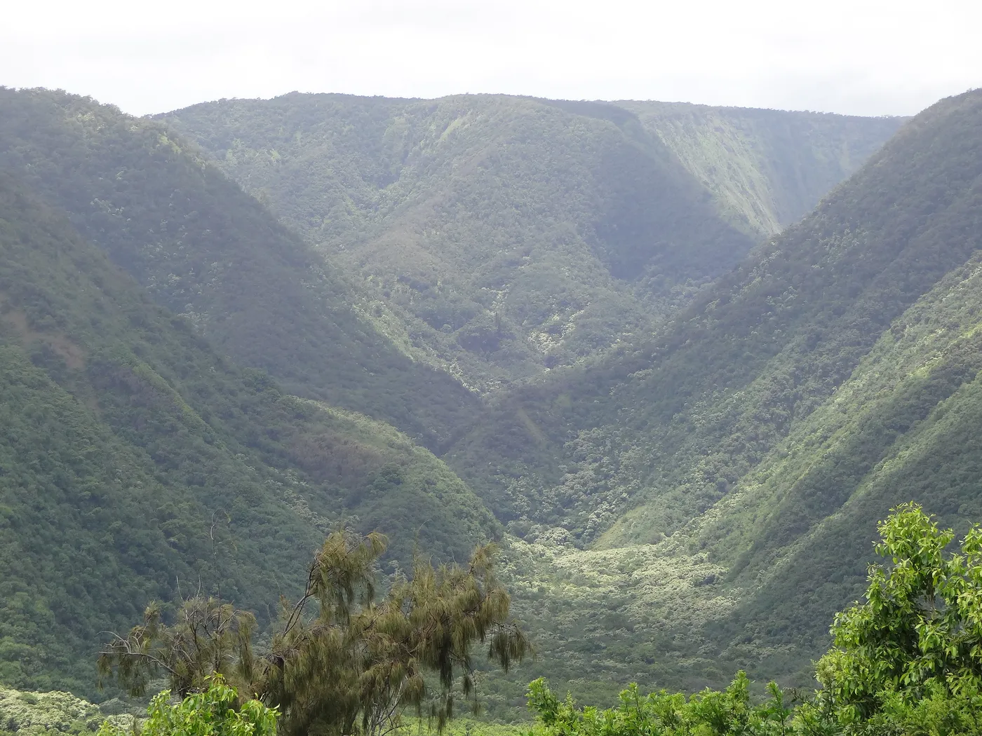 Pololū Valley, the hike that earns a shave ice in Hawi