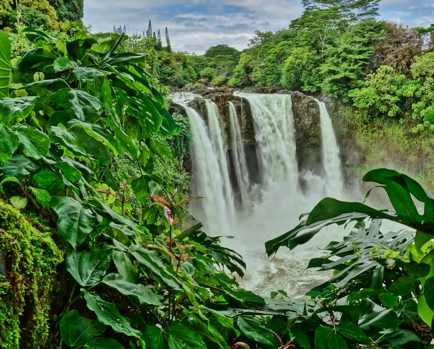 Die Rainbow Falls fallen durch den Wald direkt oberhalb von Hilo